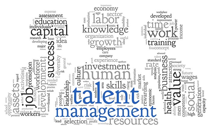 Read more about the article Talent Management or Training Talent is the Driver of Your Organizational Success